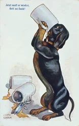 Un bassotto che beve birra, c.1900
